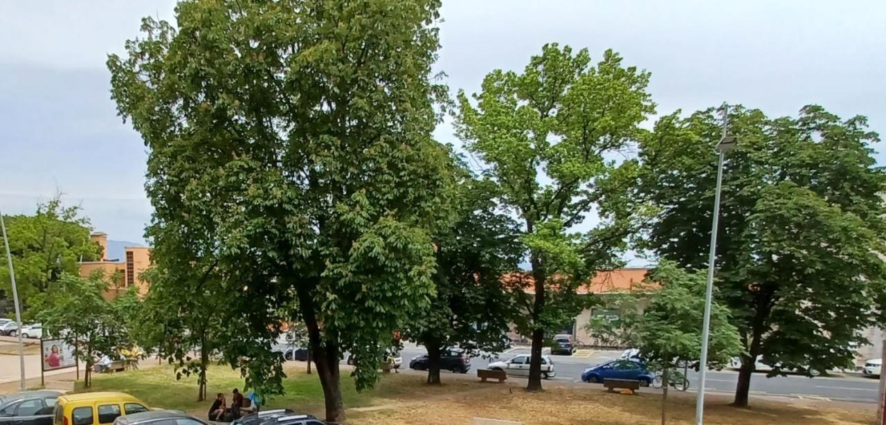 Luminosissimo Appartamento Viareggio Centro エクステリア 写真